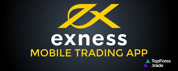 Understanding Exness Withdrawal Rejected What to Do Next Understanding Exness Withdrawal Rejected What to Do Next